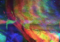 Frank Carter and the Rattlesnakes –  „Modern Ruin”