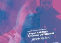 Culture Revolution Project