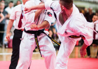 Mistrzostw Polski OYAMA KARATE