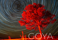 Goya – Starlinki