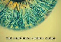 The Happiness & Derek Clegg