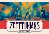 Zeppelinians – koncertowe show z muzyką Led Zeppelin