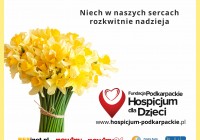 Pola Nadziei – Jesień 2024