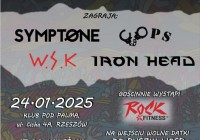 Wielki Koncert Świątecznej Pomocy