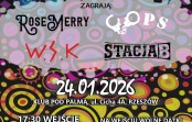 Wielki Koncert Świątecznej Pomocy w Rzeszowie